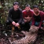 ¡Cacería ilegal! Tres sujetos acabaron con la vida de una especie en peligro de extinción en Pastaza
